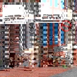 Show details for Busch 7895 Pinkelnde Hunde H0 Picture of Busch 7895 Pinkelnde Hunde H0