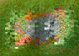 Zeige Details für Faller 181278 H0 Ziergarten mit Gartenteich Bild von Faller 181278 H0 Ziergarten mit Gartenteich