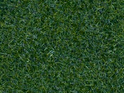 Zeige Details für Noch 07120 Wildgras, dunkelgrün, 9mm, 50gr. Bild von Noch 07120 Wildgras, dunkelgrün, 9mm, 50gr.