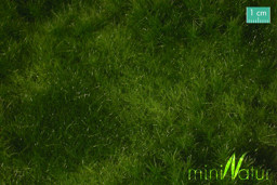 Zeige Details für Silhouette 73312H Auenwiese, Sommer Bild von Silhouette 73312H Auenwiese, Sommer