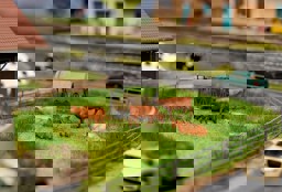 Zeige Details für Faller 180235 H0 Figuren-Set mit Mini-Sound-Effekt Kühe Bild von Faller 180235 H0 Figuren-Set mit Mini-Sound-Effekt Kühe