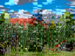 Zeige Details für Faller 181280 H0 Hopfenfeld mit Stangen Bild von Faller 181280 H0 Hopfenfeld mit Stangen