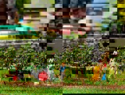 Zeige Details für Faller 181359 H0 10 kleine Apfelbäume Bild von Faller 181359 H0 10 kleine Apfelbäume