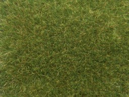 Zeige Details für Noch 07118 Wildgras, 9mm,mittelgrün, 50g Bild von Noch 07118 Wildgras, 9mm,mittelgrün, 50g