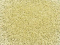 Zeige Details für Noch 07119 Wildgras, 9 mm, gold-gelb,50g Bild von Noch 07119 Wildgras, 9 mm, gold-gelb,50g
