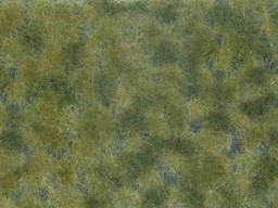 Show details for Noch 07250 Bodend.-Foliage mittelgrün Picture of Noch 07250 Bodend.-Foliage mittelgrün