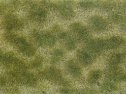 Show details for Noch 07253 Bodend.-Foliage grün/beige Picture of Noch 07253 Bodend.-Foliage grün/beige
