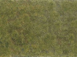 Show details for Noch 07254 Bodend.-Foliage grün/braun Picture of Noch 07254 Bodend.-Foliage grün/braun