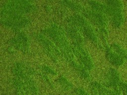 Zeige Details für Noch 07473 Natur Heide Bild von Noch 07473 Natur Heide
