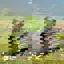 Show details for Busch 1981 Schäferwagen H0 Picture of Busch 1981 Schäferwagen H0