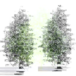 Zeige Details für Busch 3651 Apfelbaum 75, blühend H0 Bild von Busch 3651 Apfelbaum 75, blühend H0