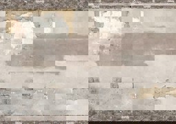 Zeige Details für Busch 7437 Dekoplatte Mauer H0 Bild von Busch 7437 Dekoplatte Mauer H0