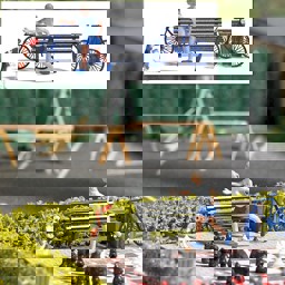 Show details for Busch 7899 A-Set: Hundefrisbee H0 Picture of Busch 7899 A-Set: Hundefrisbee H0