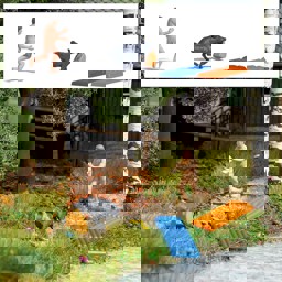 Show details for Busch 7948 A-Set: Wildschweinalarm H0 Picture of Busch 7948 A-Set: Wildschweinalarm H0