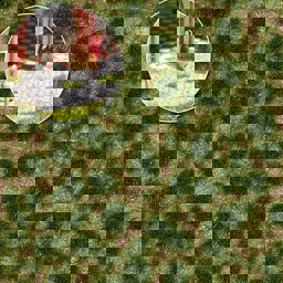 Zeige Details für Busch 3513 Grasbüschel kurz,Spätsommer Bild von Busch 3513 Grasbüschel kurz,Spätsommer