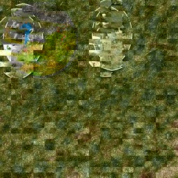 Zeige Details für Busch 3518 Grasbüschel lang,Spätsommer Bild von Busch 3518 Grasbüschel lang,Spätsommer