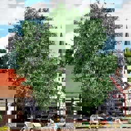 Show details for Busch 3762 Eiche 220mm H0 Picture of Busch 3762 Eiche 220mm H0