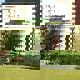 Show details for Busch 7974 H0 Action-Set: Heckenschnitt Picture of Busch 7974 H0 Action-Set: Heckenschnitt