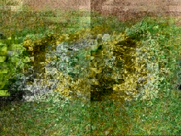 Zeige Details für Faller 181620 H0 Blätterfoliage, weidegrün Bild von Faller 181620 H0 Blätterfoliage, weidegrün