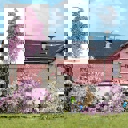 Show details for Busch 3587 Filigranbusch Lila blühend Picture of Busch 3587 Filigranbusch Lila blühend