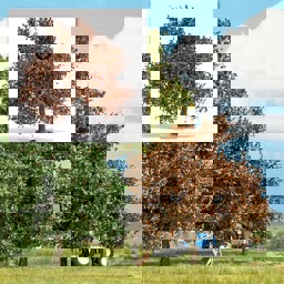 Zeige Details für Busch 3664 Eiche 95 mm, Herbst H0 Bild von Busch 3664 Eiche 95 mm, Herbst H0