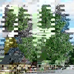 Show details for Busch 3763 Kastanie 220 mm H0 Picture of Busch 3763 Kastanie 220 mm H0