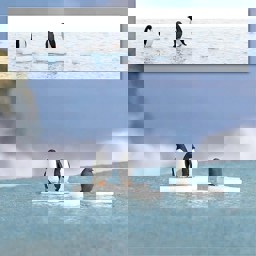 Show details for Busch 7923 Pinguine auf Eis H0 Picture of Busch 7923 Pinguine auf Eis H0