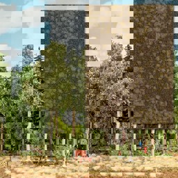Zeige Details für Busch 1322 Trockener Waldboden Bild von Busch 1322 Trockener Waldboden