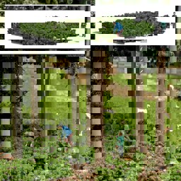 Zeige Details für Busch 7956 H0 Action-Set Waldheidelbeeren pflücken Bild von Busch 7956 H0 Action-Set Waldheidelbeeren pflücken