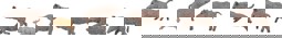 Zeige Details für Faller 151925 H0 Wildschweine Bild von Faller 151925 H0 Wildschweine