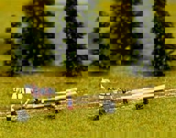 Zeige Details für Noch 43390 Holzstrecken Bild von Noch 43390 Holzstrecken
