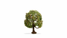Show details for Noch 20145 H0 Apfelbaum, 8cm hoch Picture of Noch 20145 H0 Apfelbaum, 8cm hoch