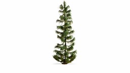 Show details for Noch 20192 H0 Fichte, 25cm hoch Picture of Noch 20192 H0 Fichte, 25cm hoch