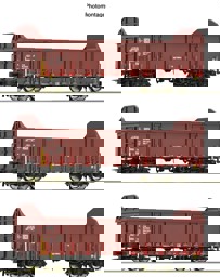 Show details for Roco 6600131 H0 3er Set Güterwagen Ealos-t DB-AG Picture of Roco 6600131 H0 3er Set Güterwagen Ealos-t DB-AG