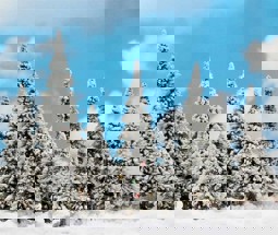 Zeige Details für Busch 7171 Glitzernder Schnee Bild von Busch 7171 Glitzernder Schnee