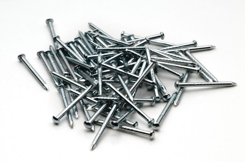 Bild von Roco 10001 Gleisnägel lang ca 500 Stk
