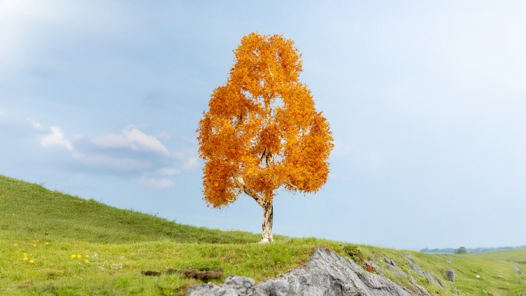 Noch 20129 H0 Birke, herbstlich