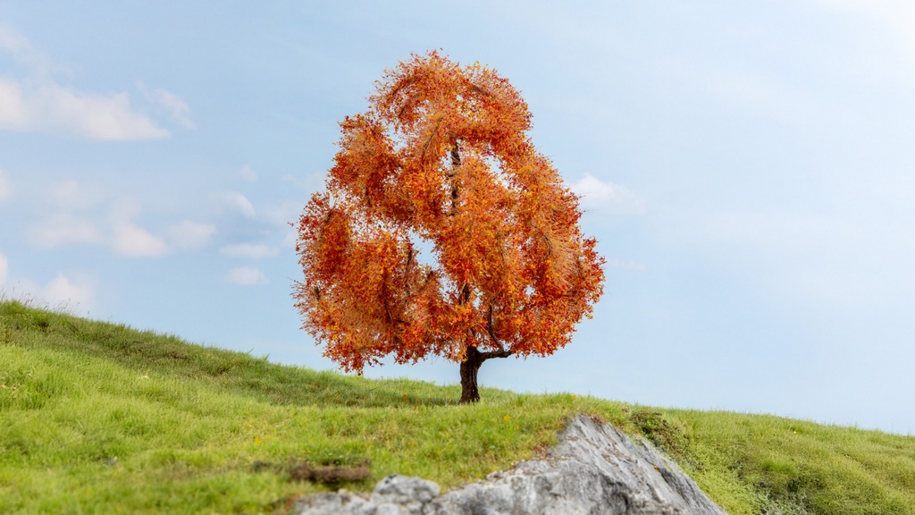 Noch 20155 H0 Ahorn, herbstlich