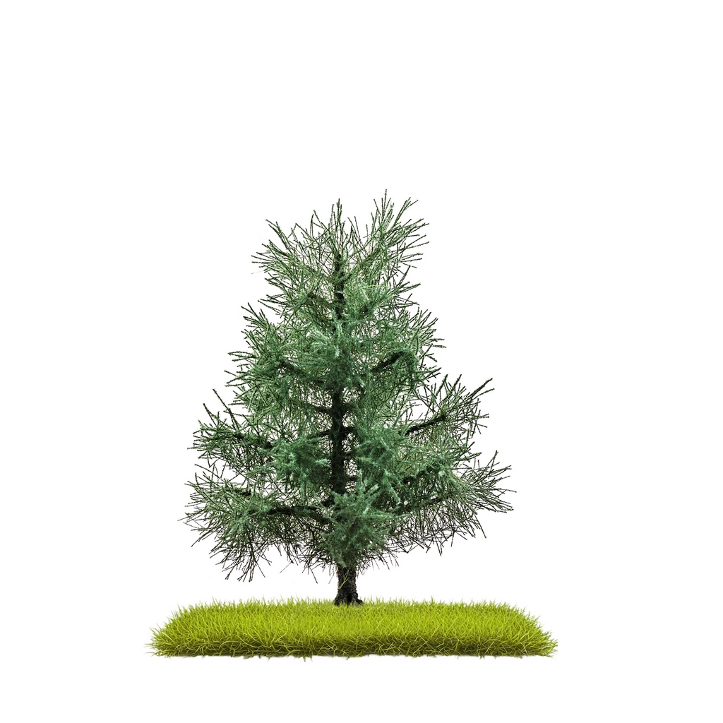 Busch 3801 2 Tannen 80 mm H0, TT, N