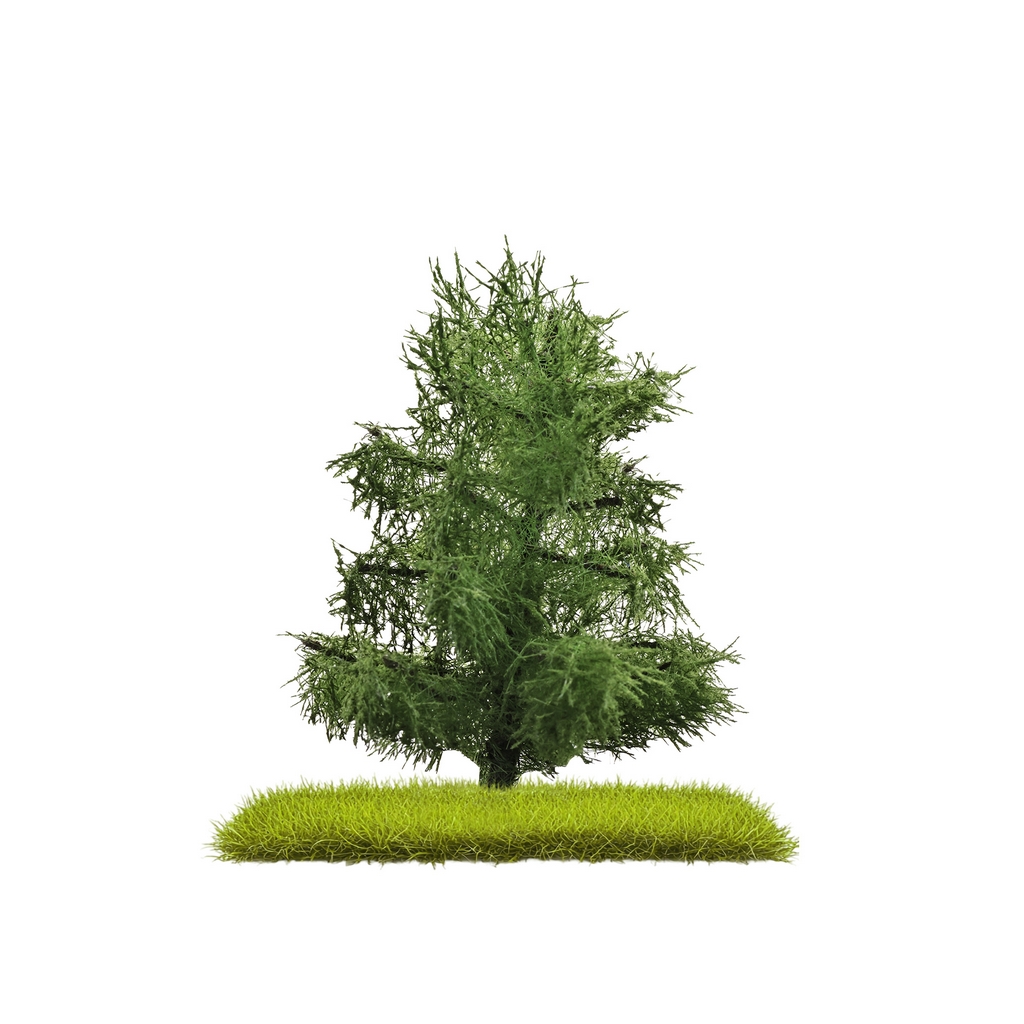 Busch 3805 2 Fichten 80 mm H0, TT, N