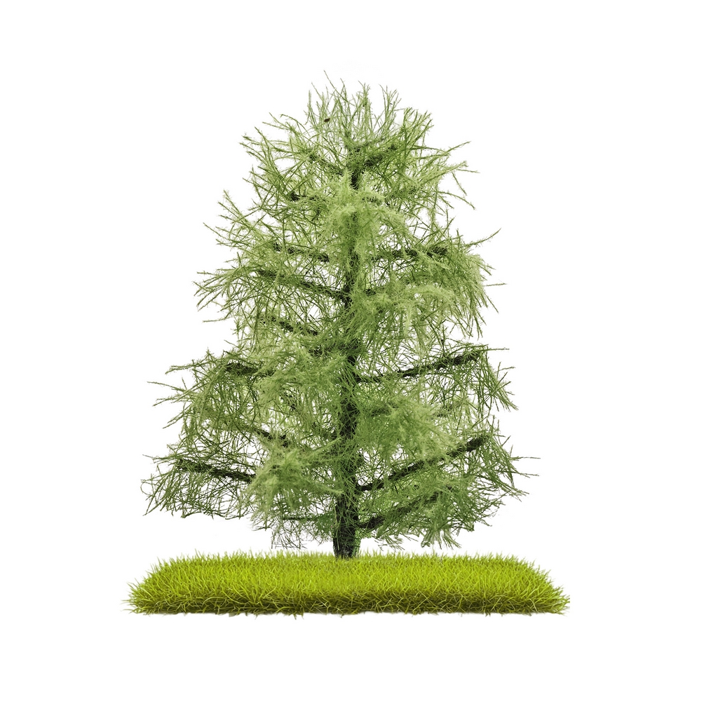 Busch 3811 2 Lärchen Sommer 80 mm H0, TT, N