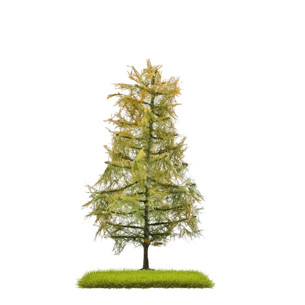 Busch 3816 Lärche Spätsommer 140 mm H0, TT