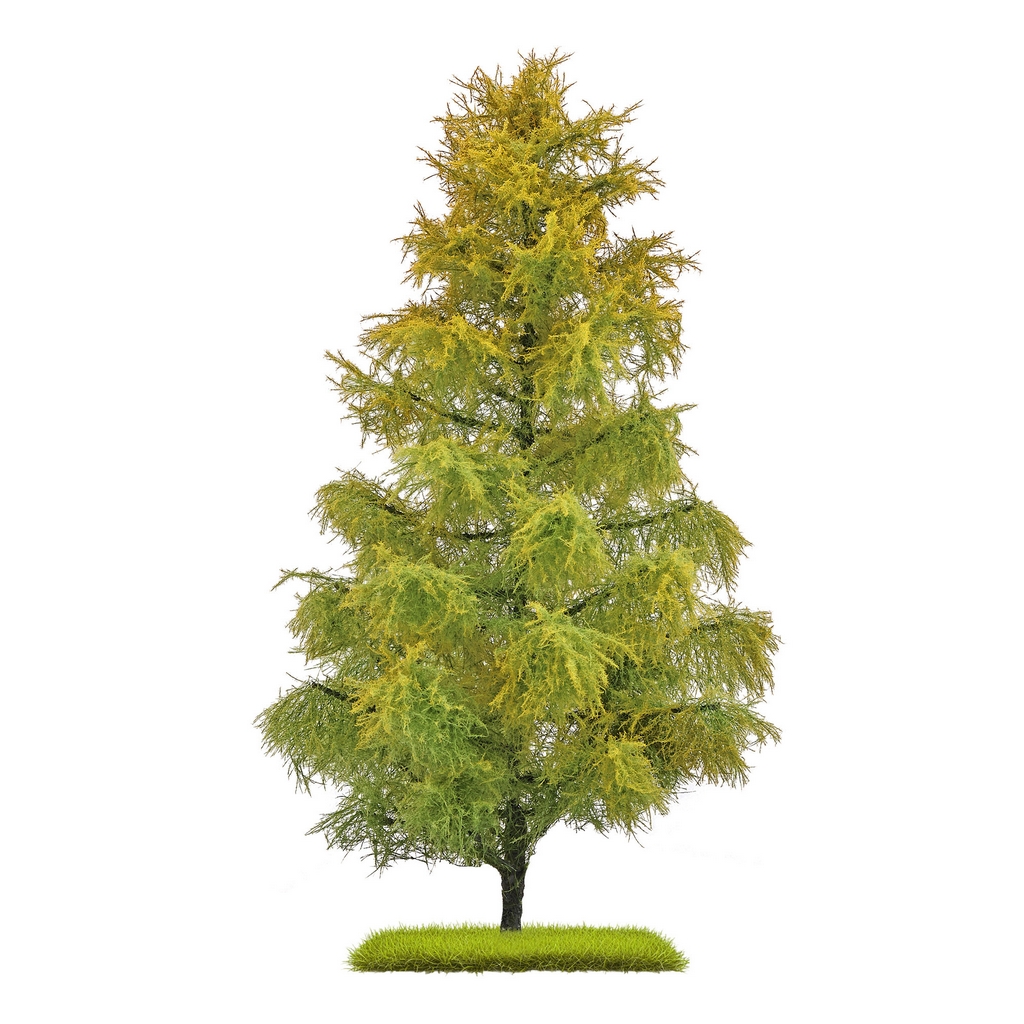 Busch 3817 Lärche Spätsommer 210 mm H0, TT