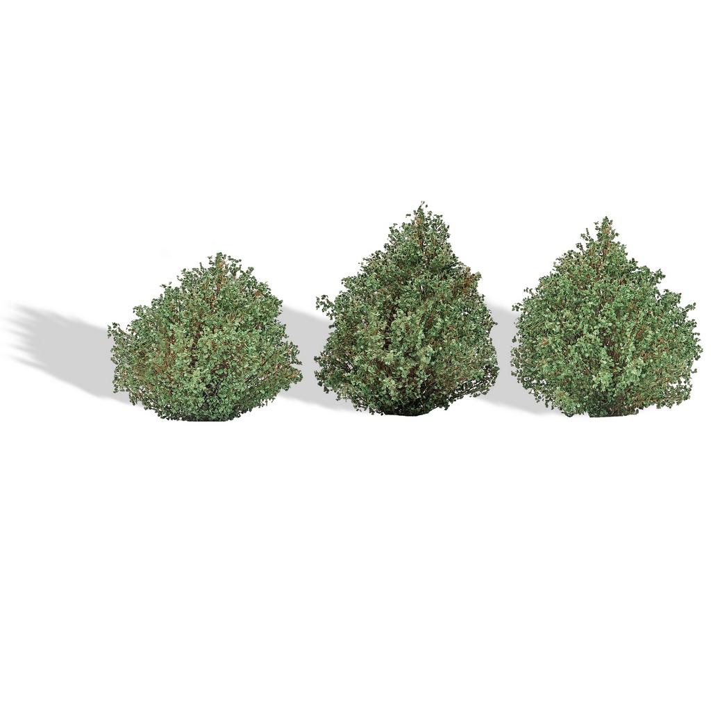 Busch 3607 3 Büsche Sommer H0